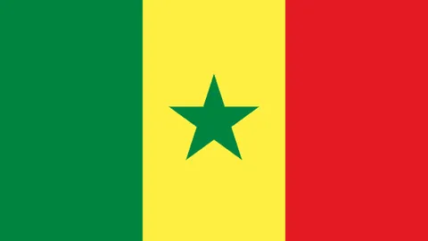 《2077》独家重现！朱迪·阿尔瓦雷斯藏品级《2077》限量收藏品惊艳亮相